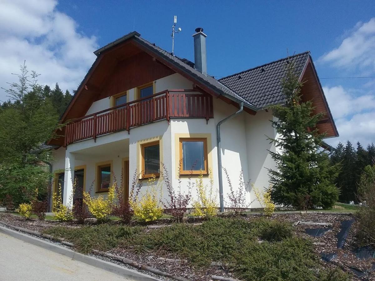 Villapark Lipno Dreams - Pet Friendly Lipno nad Vltavou Zewnętrze zdjęcie